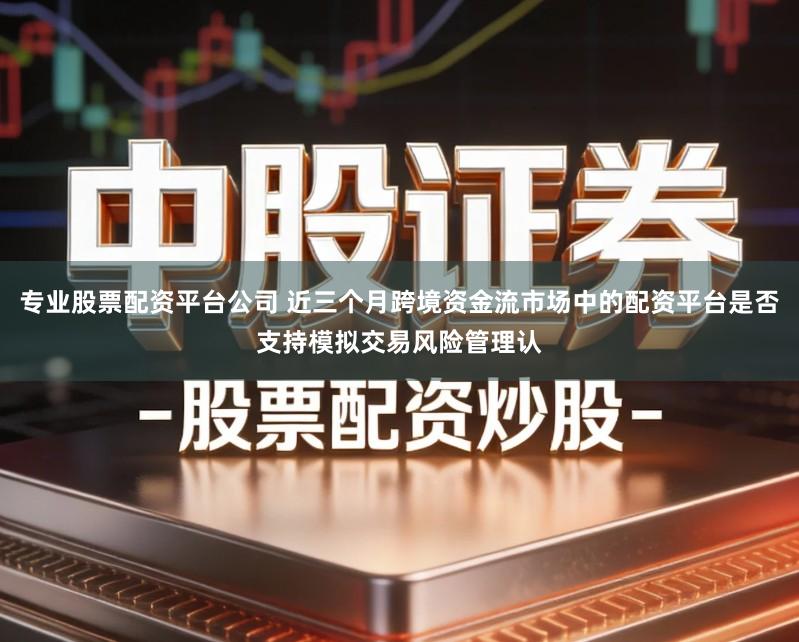 专业股票配资平台公司 近三个月跨境资金流市场中的配资平台是否支持模拟交易风险管理认