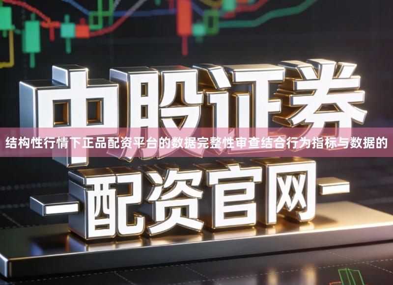 结构性行情下正品配资平台的数据完整性审查结合行为指标与数据的